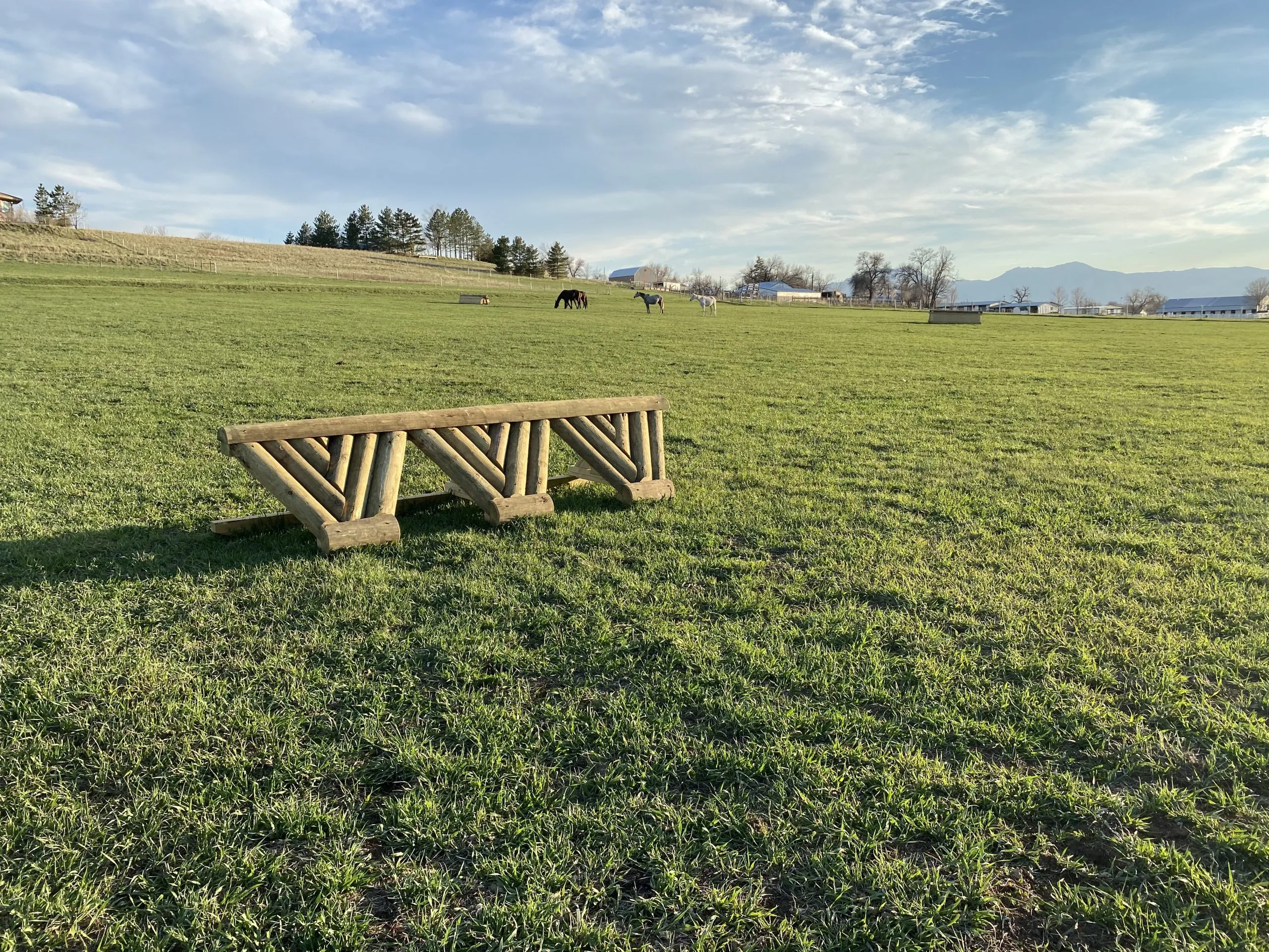 Cross-country jump in the 12-acre riding pasture