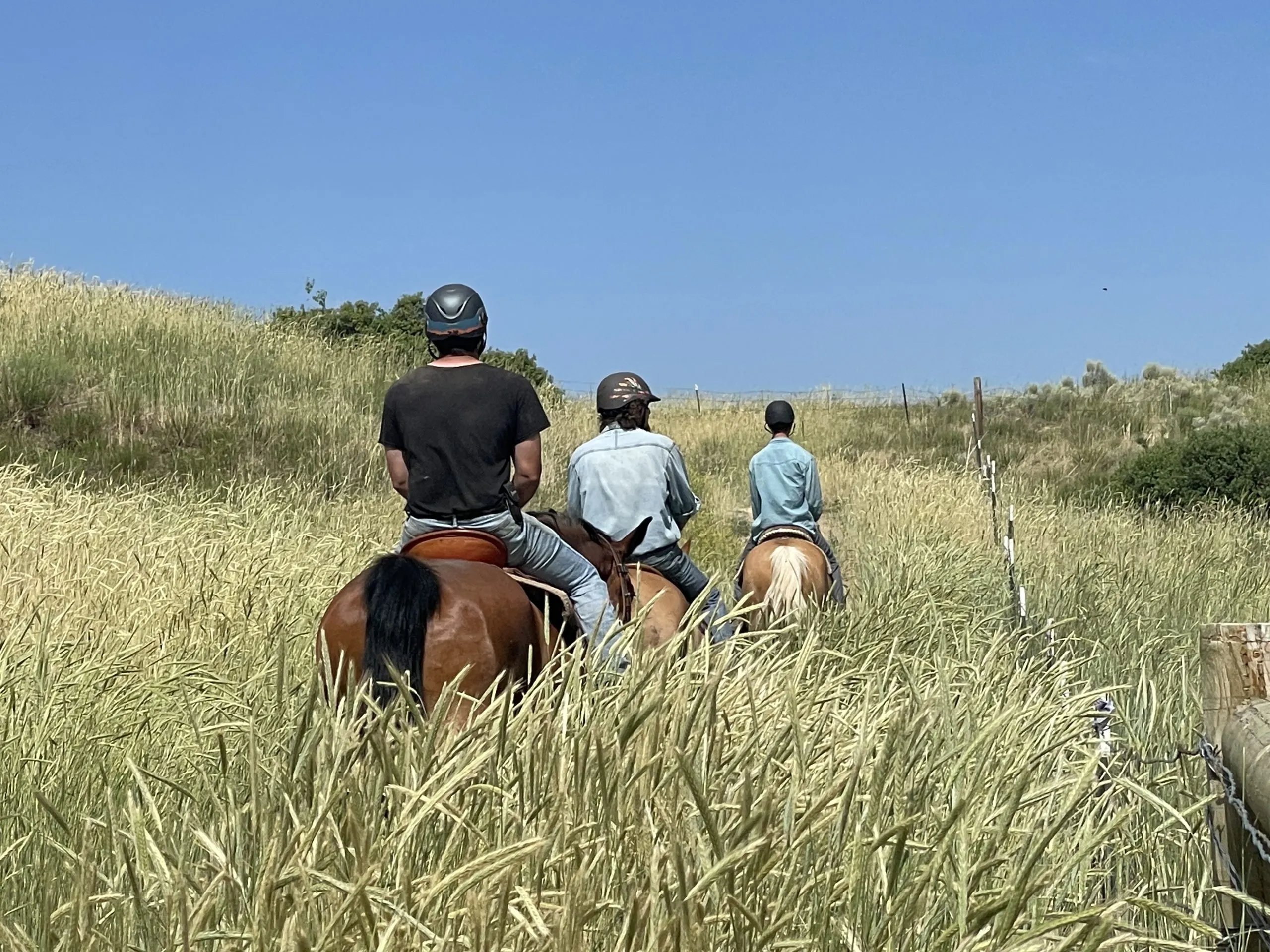 Boarders riding out together on open space