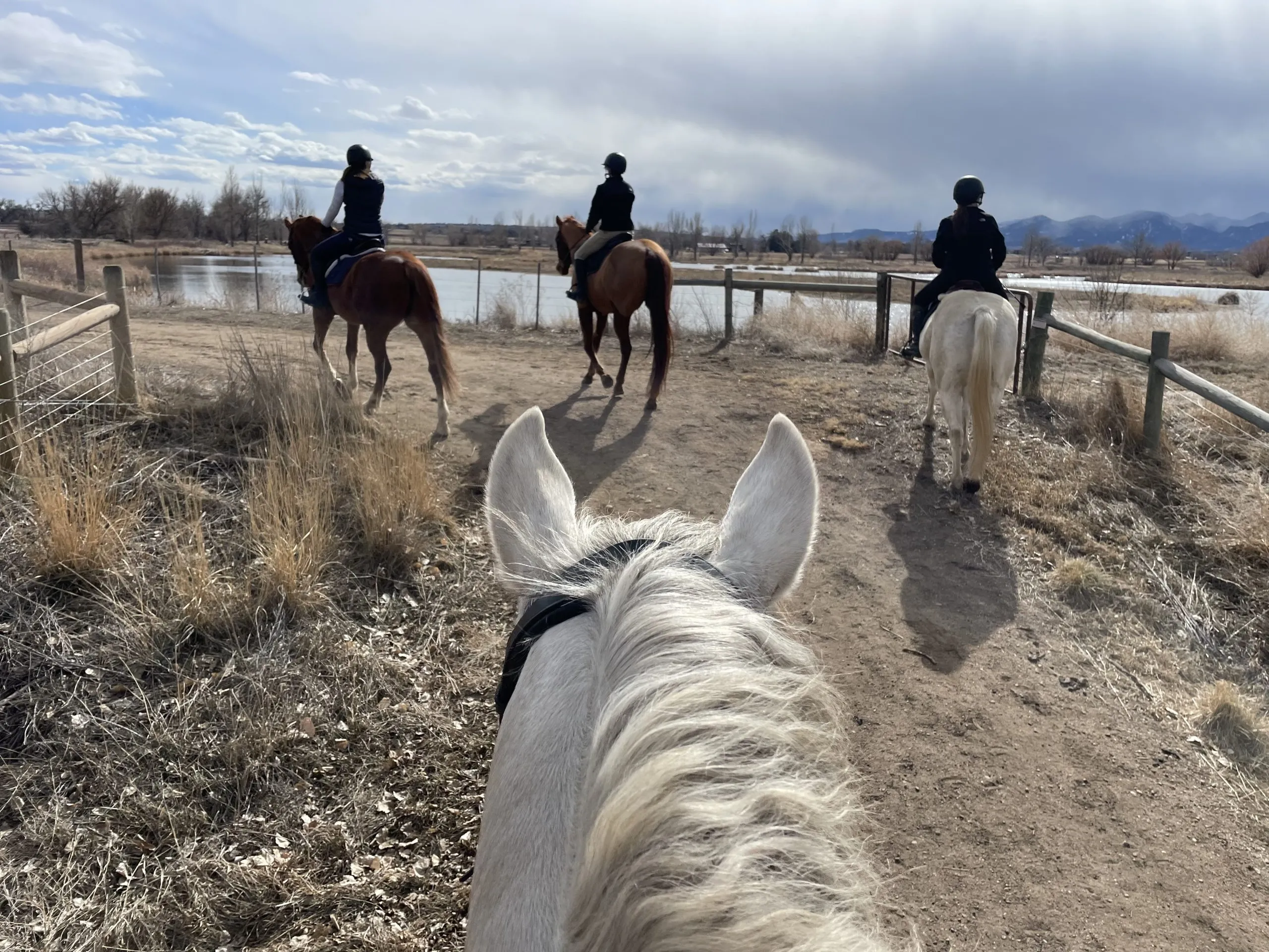 Riders on horseback heading out onto open-space trails directly from White Dog Farm