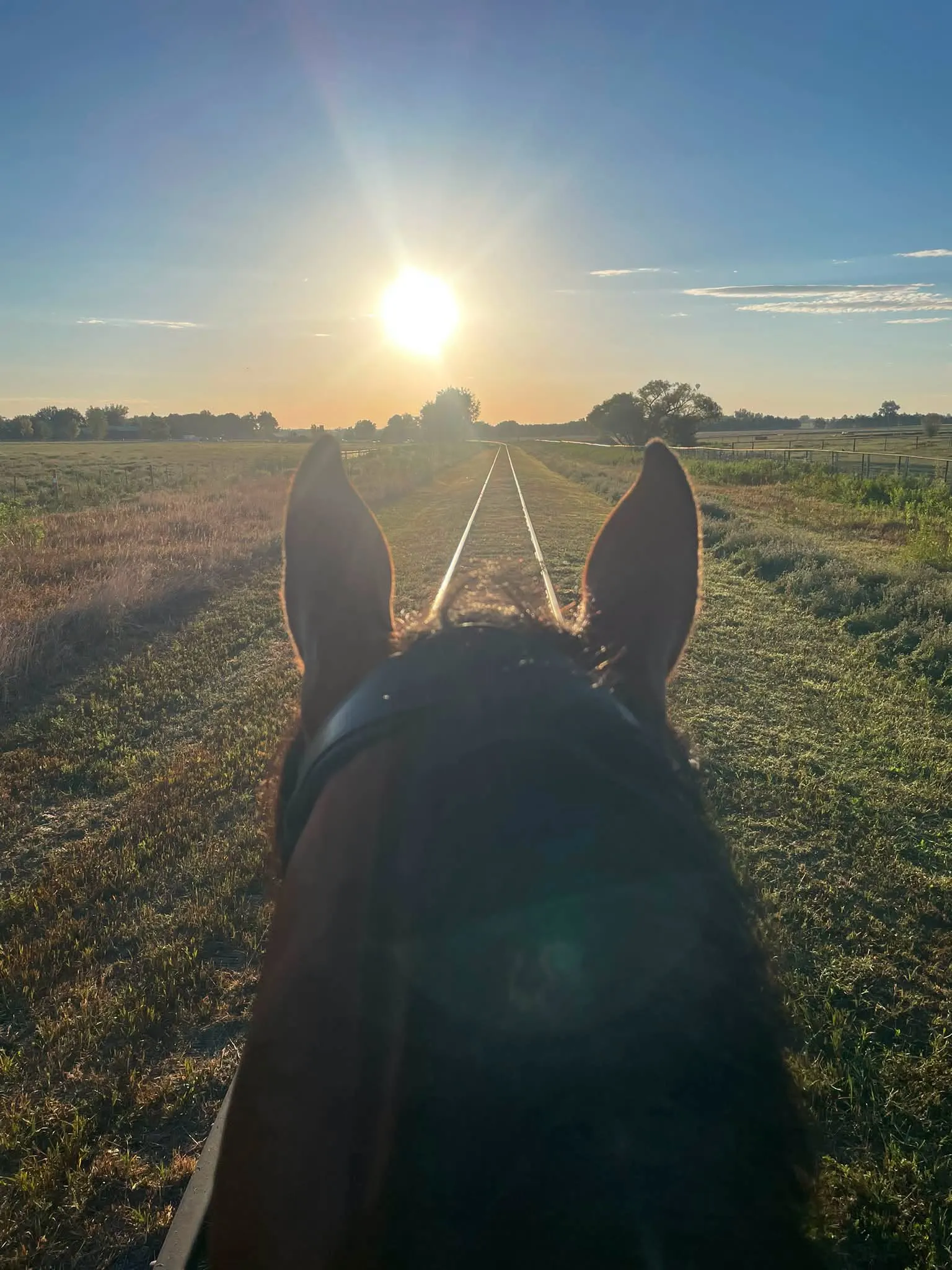 View between a horse's ears riding down a grassy track into the sunrise